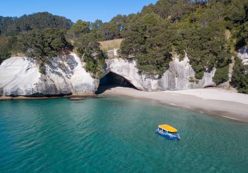 Glass Bottom Boat